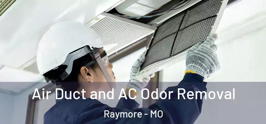 Air Duct and AC Odor Removal Raymore - MO