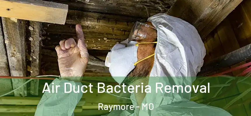  Air Duct Bacteria Removal Raymore - MO