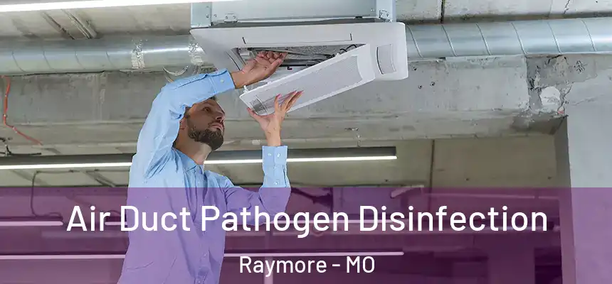  Air Duct Pathogen Disinfection Raymore - MO