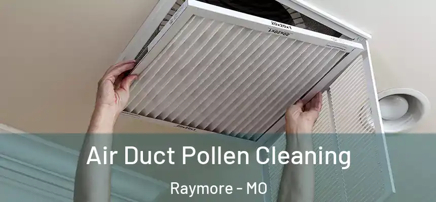  Air Duct Pollen Cleaning Raymore - MO