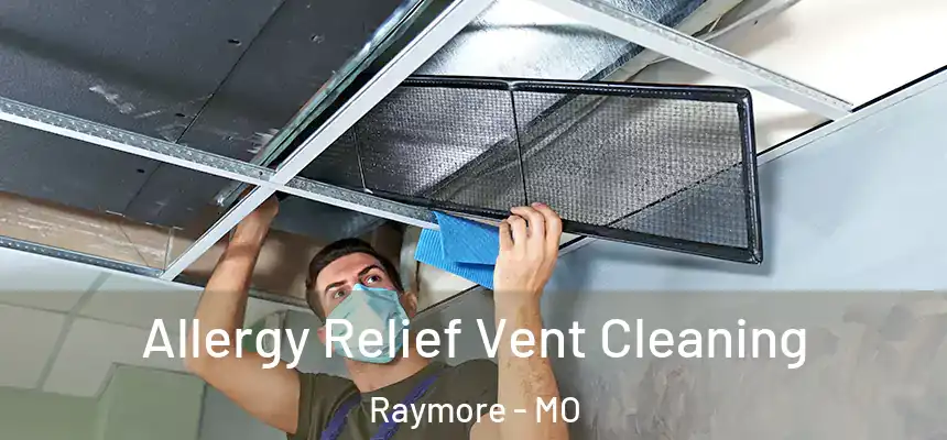  Allergy Relief Vent Cleaning Raymore - MO