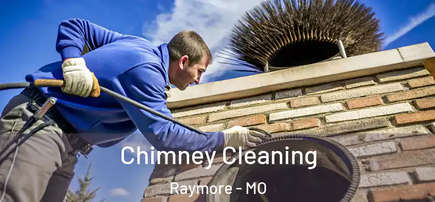  Chimney Cleaning Raymore - MO