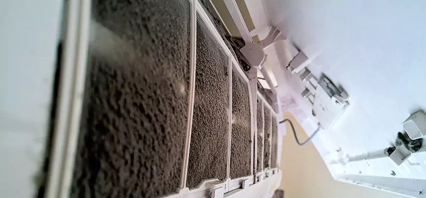 Preventive Air Duct Bacteria Removal in Raymore