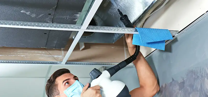 Our Air Duct Rodent Removal Services in Raymore, MO