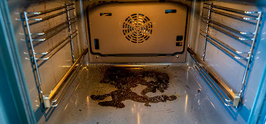 Our Dryer Vent Mold Cleaning Services in Raymore, MO