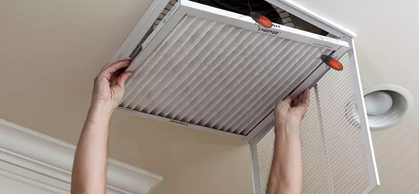 Our Insect Removal from Air Ducts Services in Raymore, MO
