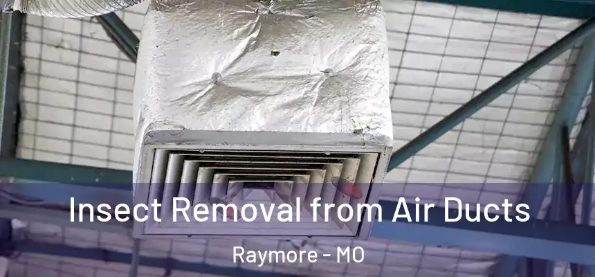  Insect Removal from Air Ducts Raymore - MO