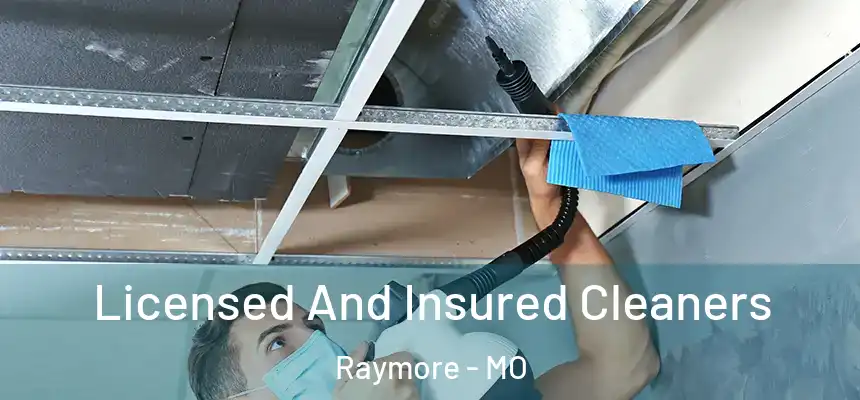  Licensed And Insured Cleaners Raymore - MO