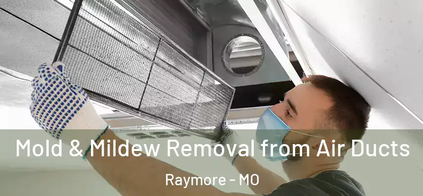  Mold & Mildew Removal from Air Ducts Raymore - MO