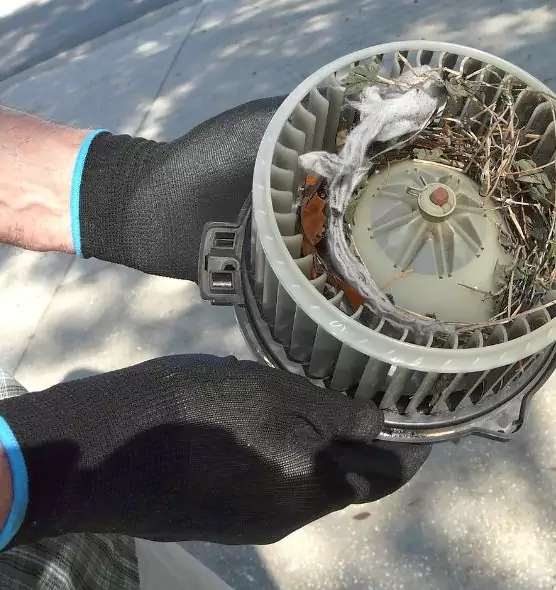 About Air Duct Rat Removal in Raymore, MO