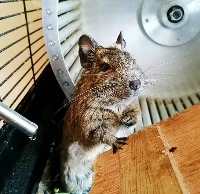 Why Homeowners & Businesses Trust Us Raymore, MO?